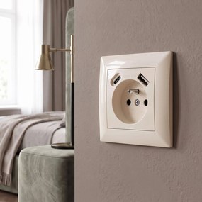 Единичен контакт със заземяване + USB-A USB-C OSTE JNH004-G Beige