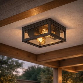 Таванна лампа черна с димно стъкло 2-светлина IP44 - Charlois