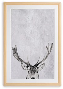 Картина за стена в рамка , 35 x 45 cm Deer - Surdic