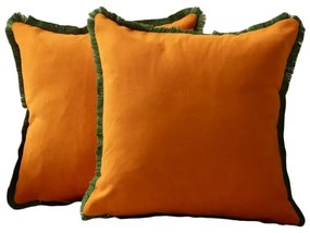 Калъфки за възглавници в комплект от 2 бр. 43x43 cm Sacakli – Mioli Decor