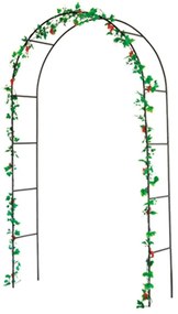 Арка за катерливи растения - Garden Pleasure