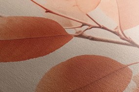 Картина на платно – Клонки с листа Peach Fuzz