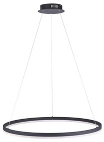 Paul Neuhaus 2383-13 - LED Димируем висящ полилей TITUS LED/50W/230V