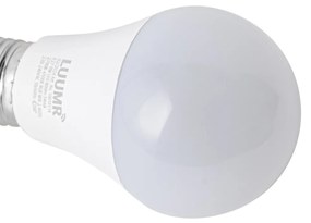 Комплект от 5 Интелигентни LED крушки E27 A60 матирани RGBW 9W 806lm 2700-6500K