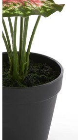 Изкуствено растение (височина 40 cm) Caladium – Light &amp; Living