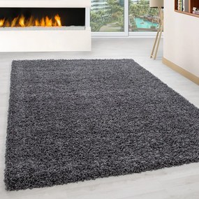 Тъмносив килим 160x230 cm Life – Ayyildiz Carpets