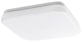 Rabalux 77134-LED Плафон за баня LOWAR LED/12W/230V IP44 3000/4000/6000K