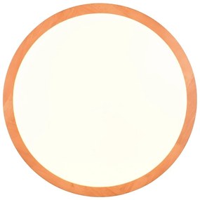 Светлокафяво LED осветление за таван ø 40 cm Iseo - Trio