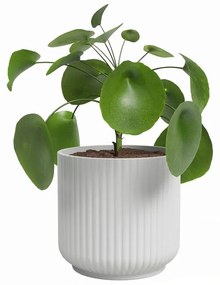 Керамична саксия за цветя ø 19 cm Luna – Artevasi