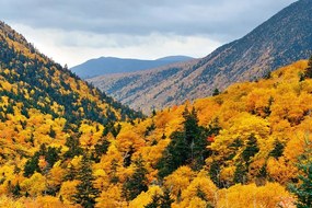 Самозалепващ фототапет – Изглед към величествени планини