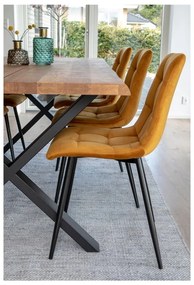 Комплект от 2 трапезни стола с кадифена тапицерия в горчичножълт цвят Middelfart - House Nordic