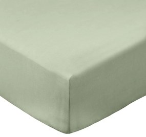 Зелен еластичен чаршаф от памук перкал 150x200 cm Cotton Percale – Bianca