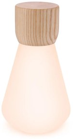 Настолна лампа с възможност за затъмняване в естествен цвят (височина 13 см) Pentagon - Gingko