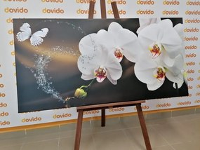 Картина на платно – Орхидея и пеперуда