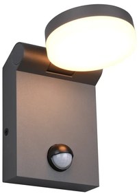 Външно осветително тяло със сензор за движение (височина 19 cm) Adour – Trio