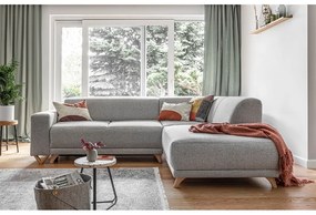 Светлосив разтегателен/с място за съхранение ъглов диван (десен ъгъл/L форма) Classy Sophie – Miuform