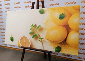 Картина на платно – Лимони с мента
