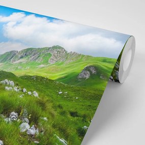 Фототапет – Долина в Черна гора