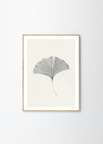 Постер 50x70 cm Ginkgo Leaf – Ana Frois – The Poster Club
