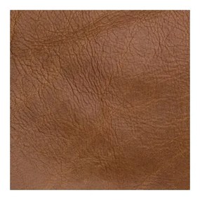 Кафяви/в цвят кафяв коняк трапезни столове в комплект 2 бр. от масивен дъб Nora – Gazzda