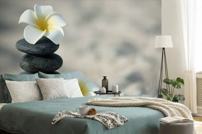 Фототапет – Хармонични камъни и плумерия
