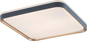 Rabalux Liatris Таванно осветление (плафони) IP20 LED 26W 3000 71029