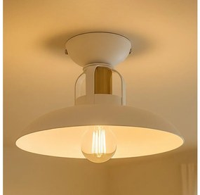 Brilagi - LED Полилей за повърхностен монтаж FLAMENGO 1xE27/60W/230V бял