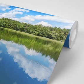 Фототапет – Природа през лятото