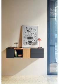 Нисък скрин в антрацит и естествен дъб 110x23 cm Otto - Teulat