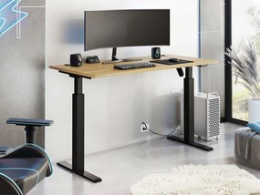 Бюро Warrior II Plus-Fusiko