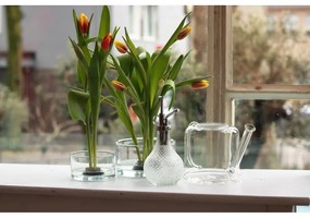 Стъклена лейка за цветя Clear, 1,5 л - Esschert Design