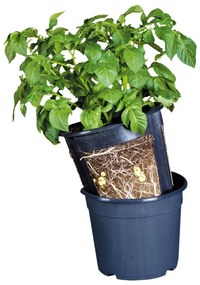 Саксия за картофи , ø 30,2 cm - Esschert Design