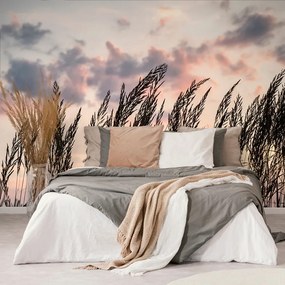 Самозалепващ фототапет – Трева при залез