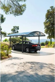 Навес за кола Hesperide Belize, Поликарбонат и алуминий, Графит, 5x3м