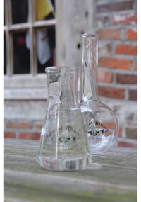 Стъклена ваза (височина 23 cm) Natural History – Esschert Design