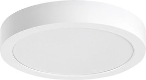 Rabalux Shaun2 Вградени и повърхностно монтирани лампи IP20 LED 24W 4000K 71194