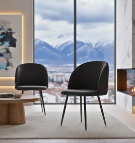 Фотьойл Zera-черен (2) парчета