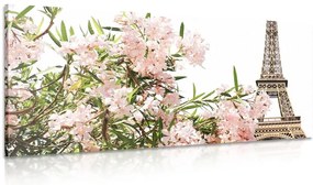 Картина на платно – Айфеловата кула и розови цветя