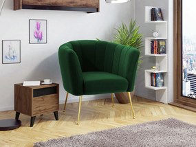 Фотьойл Giliali-Prasino