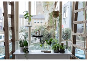 Стъклена лейка за цветя Clear, 1,5 л - Esschert Design