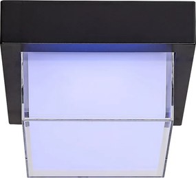 Rabalux Durbe Външно стенно осветление/ Външни таванни IP54 LED 10W 3000-6500K 7247
