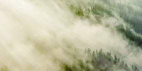 Картина на платно – Мъглива гора