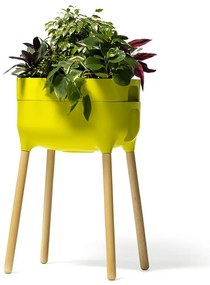 Пластмасов самонапояващ се съд за отглеждане на растения Urbalive – Plastia