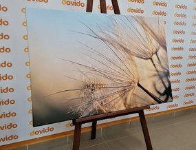 Картина на платно – Глухарче на поле при изгрев