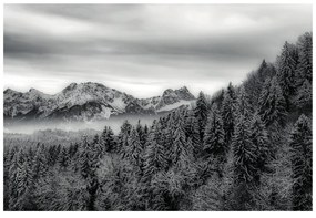 Фототапет – Черно-бели замръзнали планини
