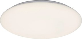 Rabalux Rorik Таванно осветление (плафони) IP20 LED 24W 4000 71124