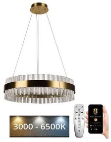 Brilagi - LED Димируем кристален полилей на връв HALO LED/40W/230V + д.у.