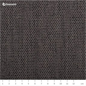 Тъмносив фотьойл Neso - Windsor &amp; Co Sofas