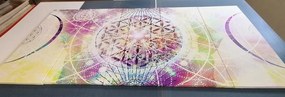 картини от 5 части – Мандала в интересно изпълнение