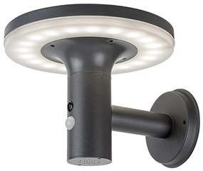 RABALUX 77017 Alaska, соларна лампа, IP44, LED 10W, H16,5cm - 77017